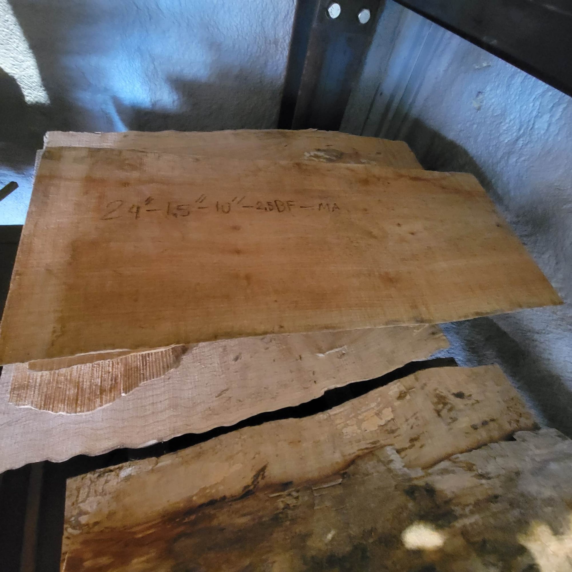 Big Leaf Maple